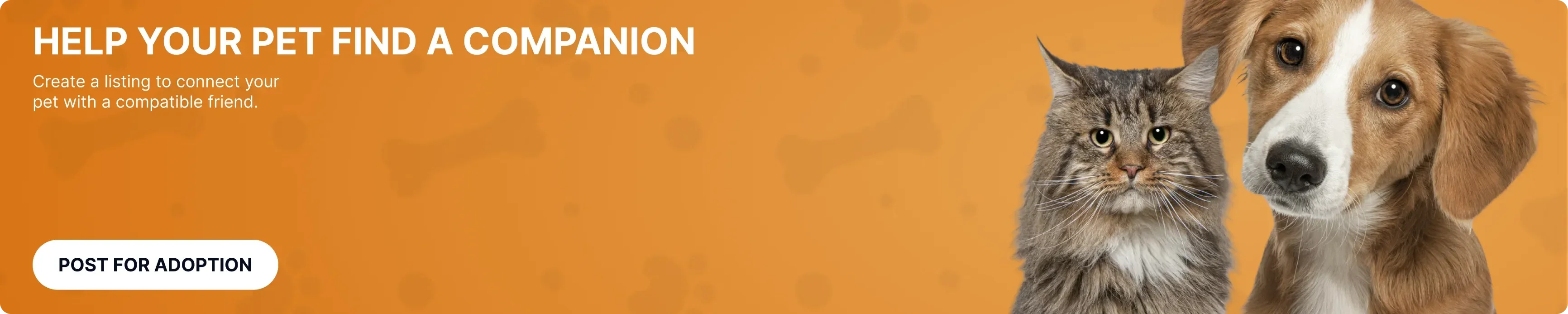 https://storage.ayshei.xyz/cms/assets/Mbanner_Web_100_7_a67efcbdde.webp