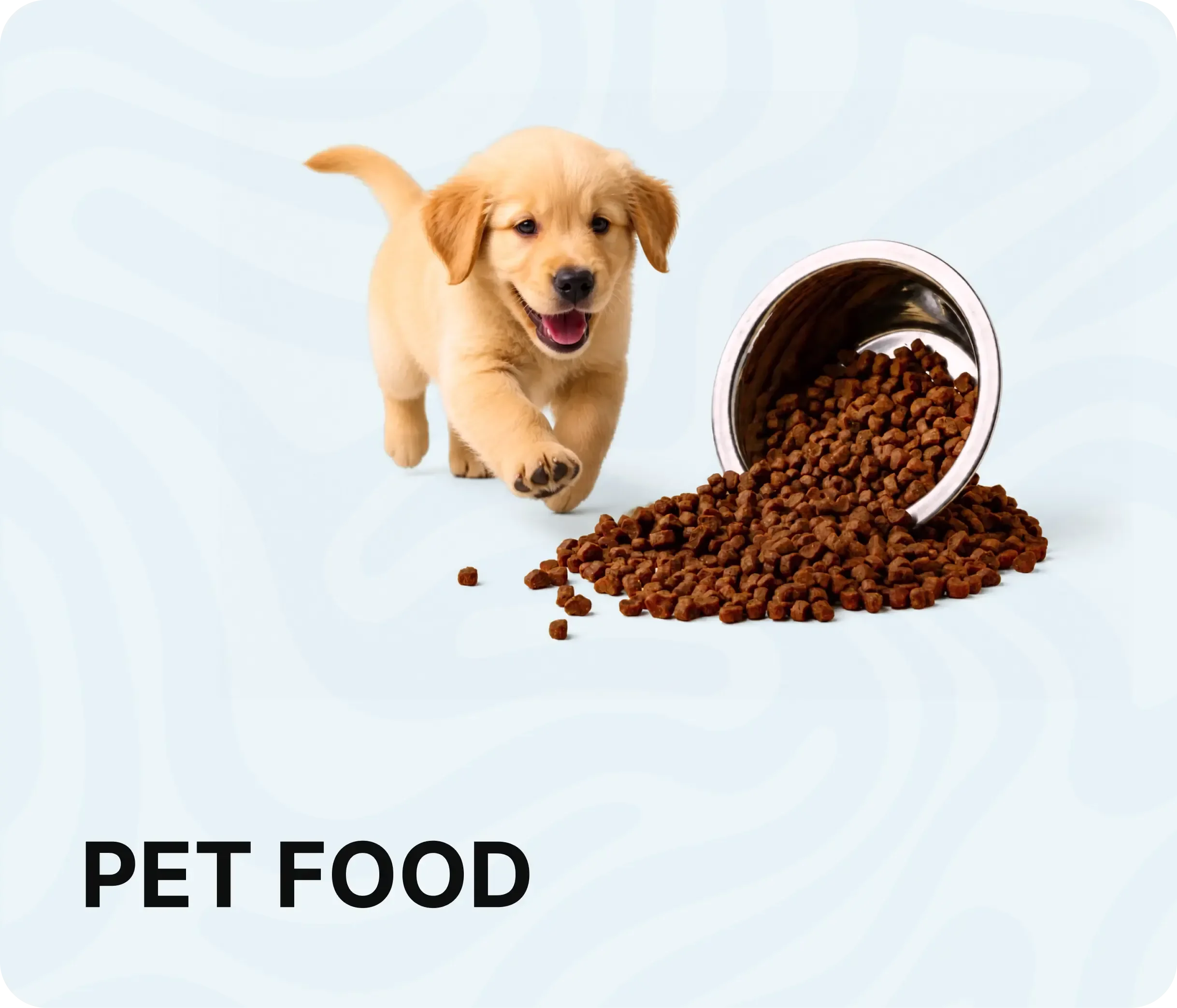 https://storage.ayshei.xyz/cms/assets/Pets_food_33_1c1923b2e5.webp