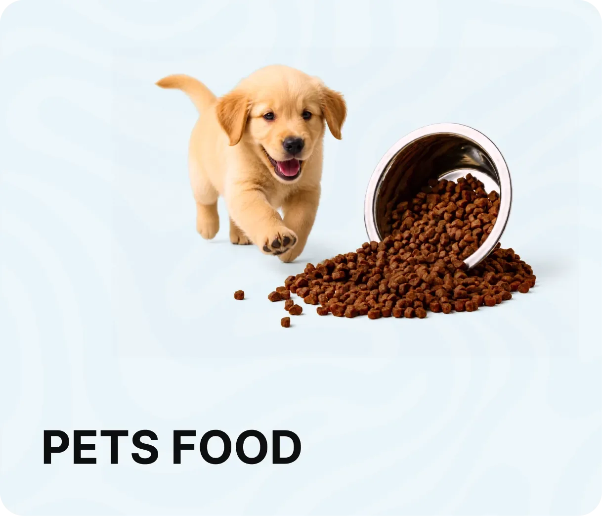 https://storage.ayshei.xyz/cms/assets/pets_food_33_6496e5fb6b.webp