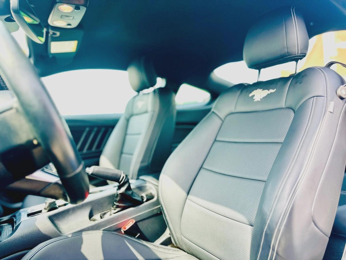 2021 Ford Mustang Ecoboost - # 47666-1-1