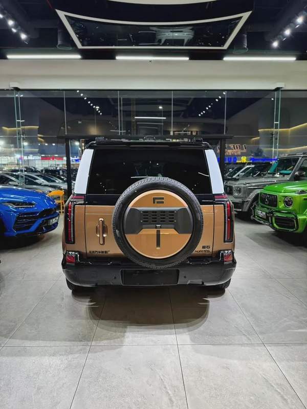 2026 ROX ADAMAS VIP 6 SEATER