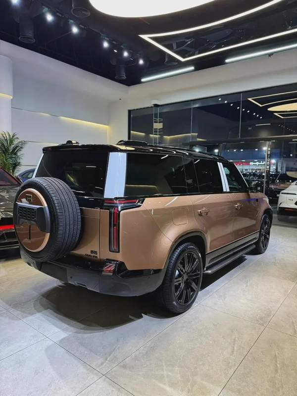2026 ROX ADAMAS VIP 6 SEATER