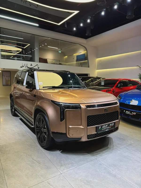 2026 ROX ADAMAS VIP 6 SEATER