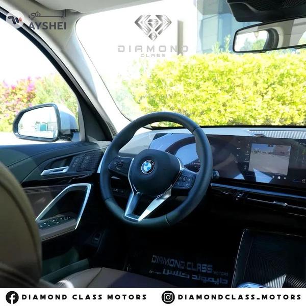 BMW X1--sDrive20i Sport-Line--Original Paint