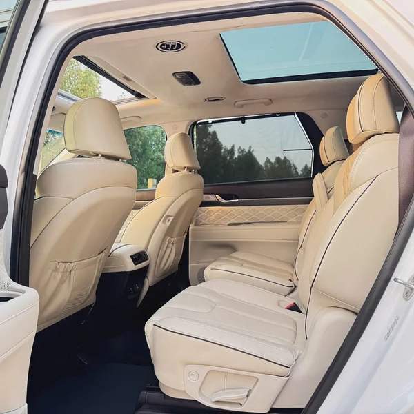 Hyundai Palisade Limited 2020, American Specs