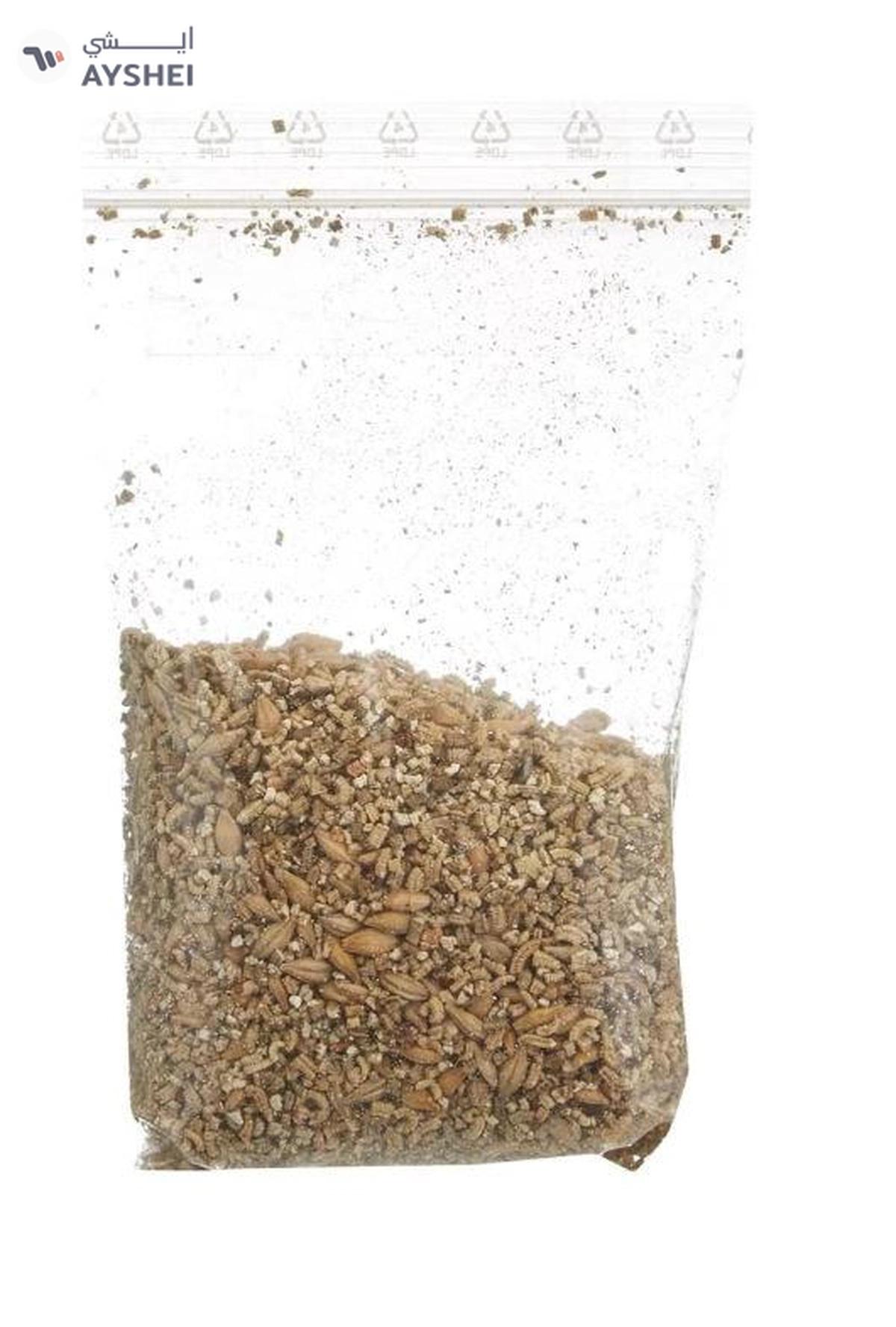 Trixie Cat Grass in Ceramic Bowl for Cats 50g-3-3