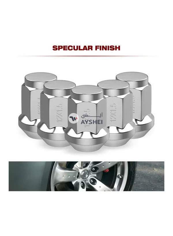 Generic 20-Piece Lug Nut Set