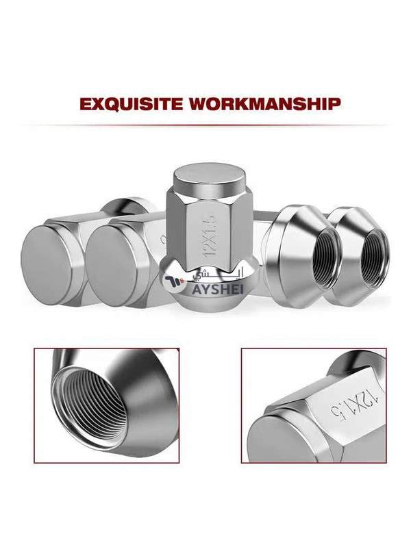 Generic 20-Piece Lug Nut Set