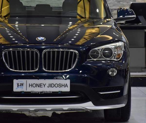 BMW X1 sDrive18i ( 2015 Model ) in Blue Color! GCC Specs