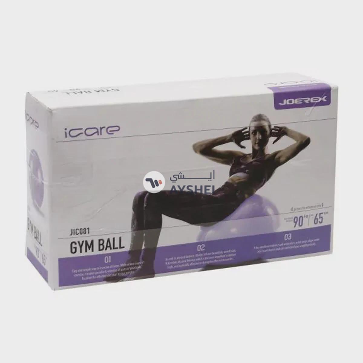 Gym Ball (Brand : Mesuca)-0-portrait