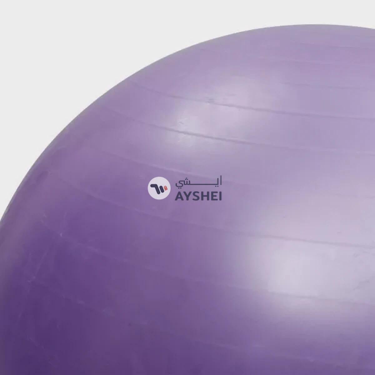 Gym Ball (Brand : Mesuca)-0-portrait