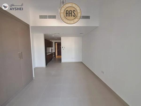 Luxurious Huge Studio Flat With Chiller Free