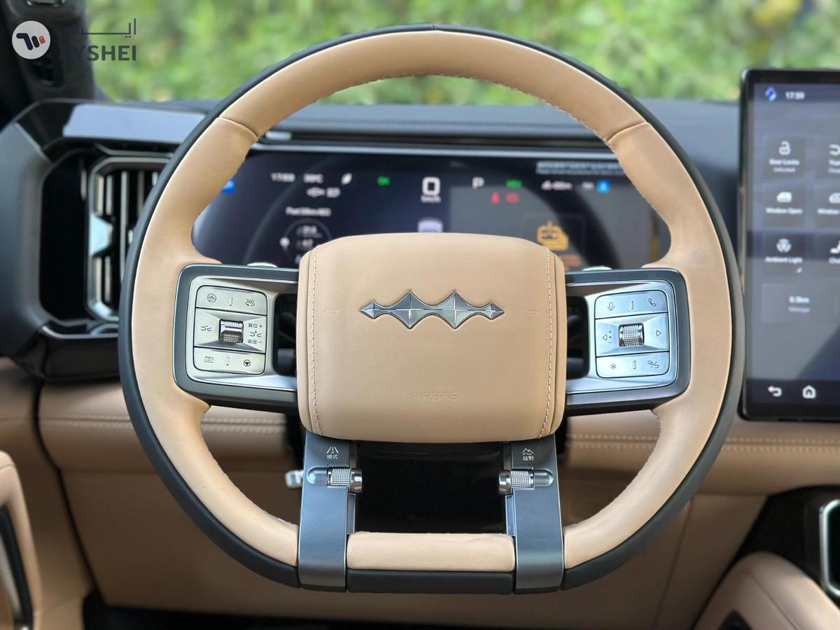 BYD Leopard 8 Flagship-5-5