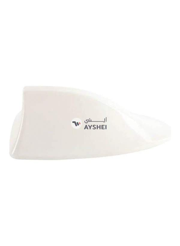 Generic Car Antenna Decoration