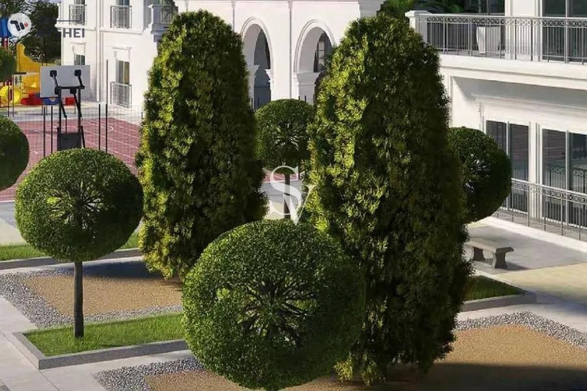 Vincitore Benessere, Arjan, Dubai-15-15