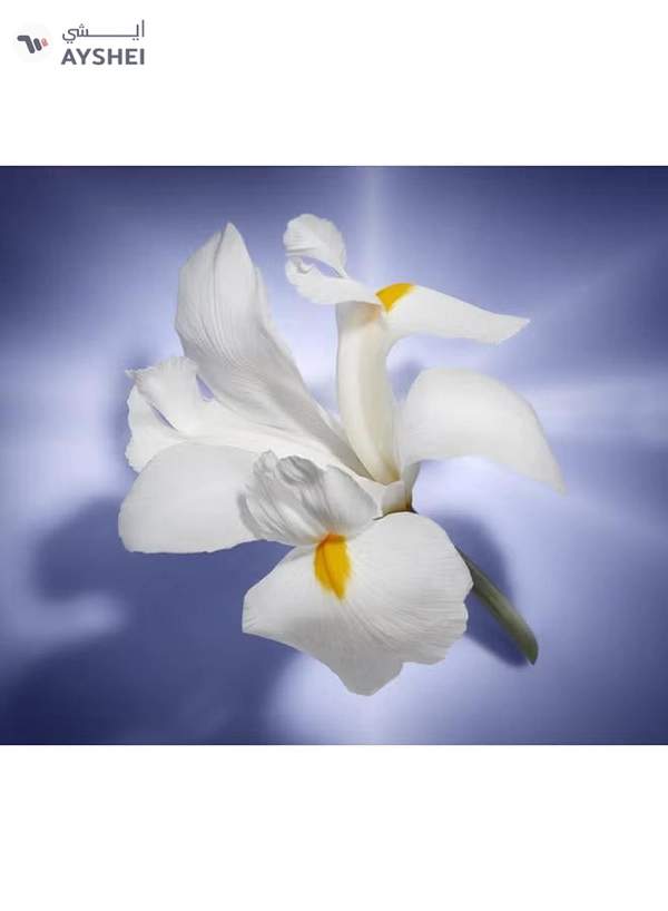 LANCOME La Vie Est Belle EDP 75ml
