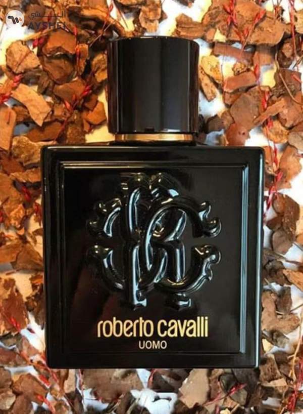 roberto cavalli Uomo EDT 100ml