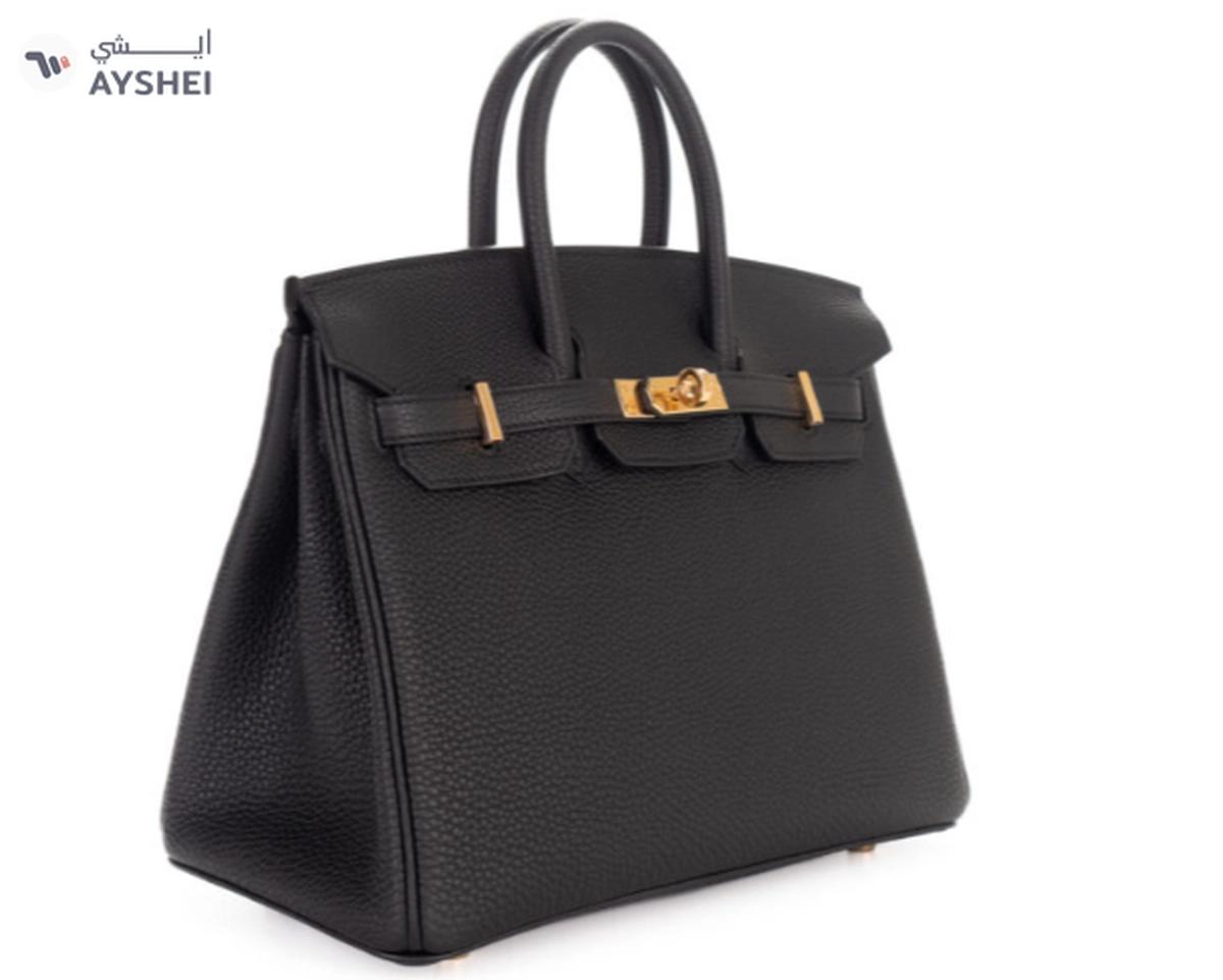 Hermès Birkin 25 Noir / Black Togo Gold Hardware Bag-1-1