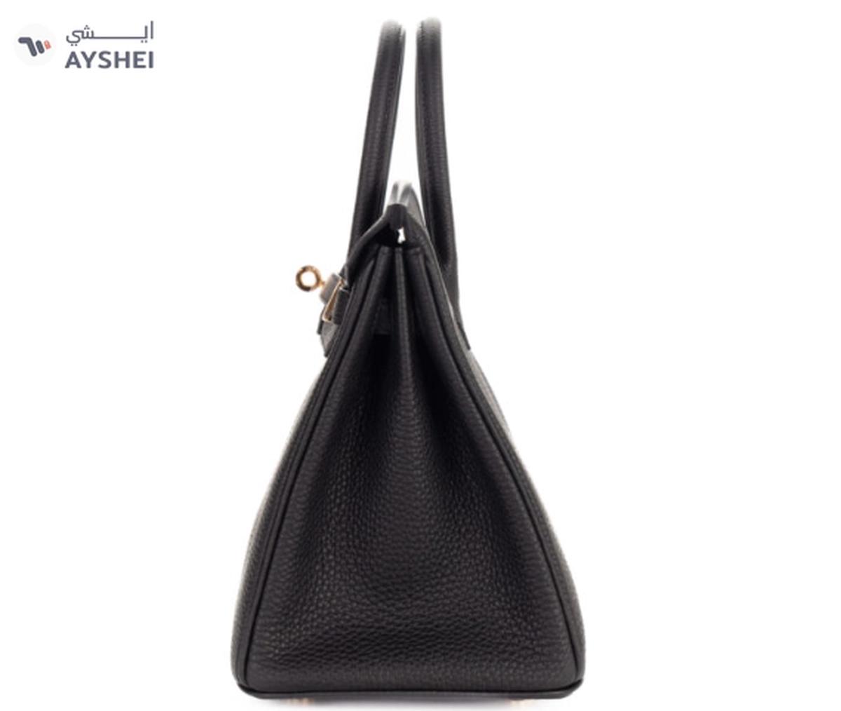 Hermès Birkin 25 Noir / Black Togo Gold Hardware Bag-3-3