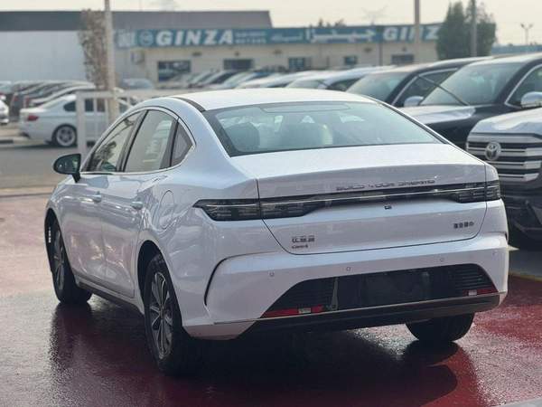BYD Destroyer 05