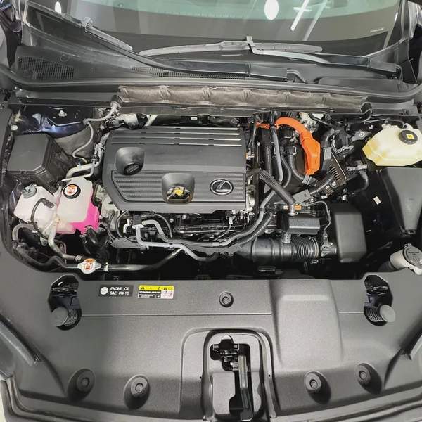 2023 Lexus Rx350 hybrid Platinum