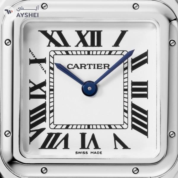 Cartier PANTHÈRE DE CARTIER Steel Medium