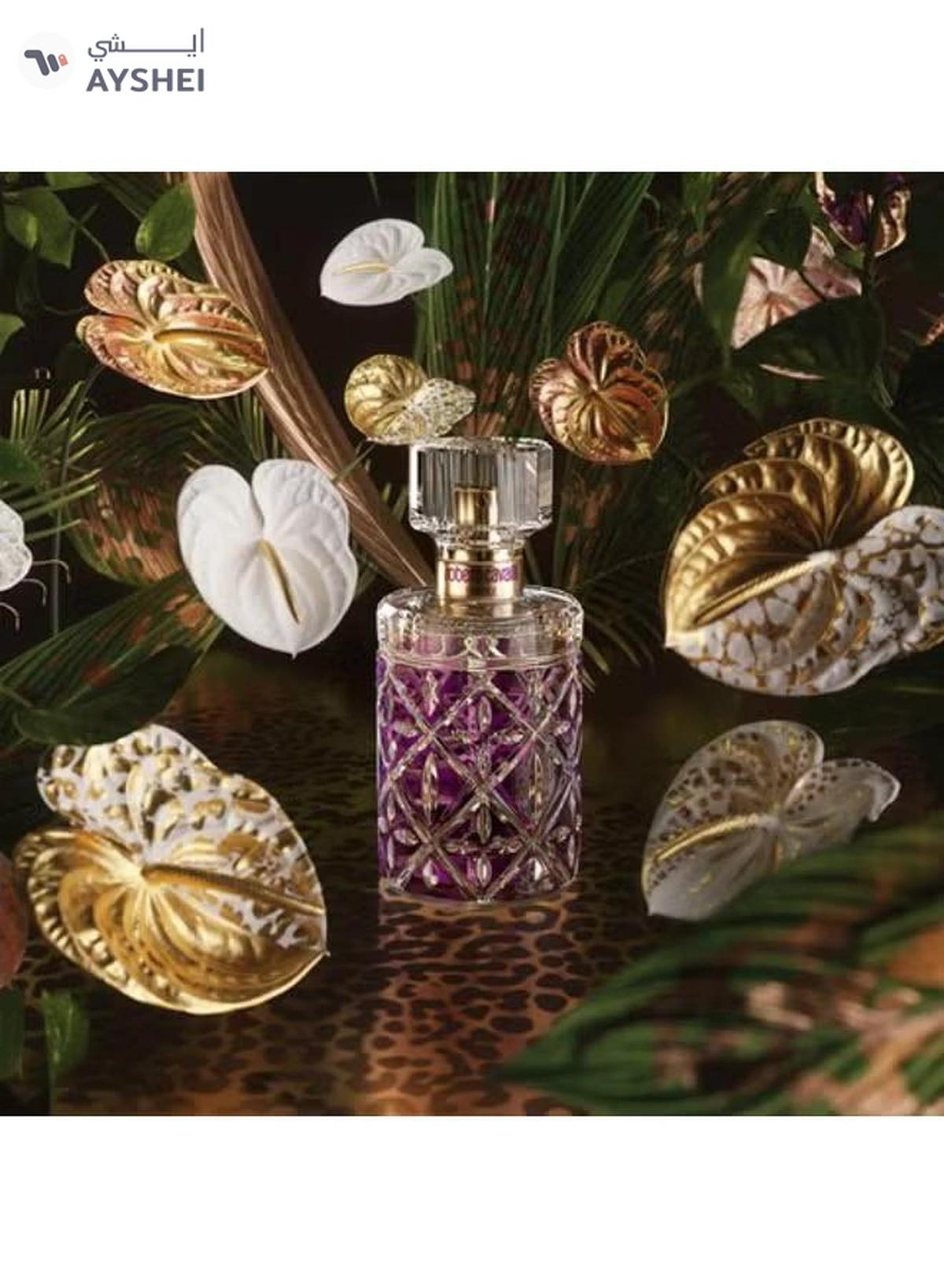 DESTINO PARIS Aurora Eau De Parfum 100Ml-0-0