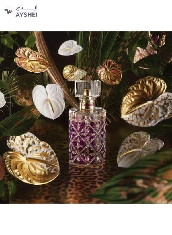 DESTINO PARIS Aurora Eau De Parfum 100Ml