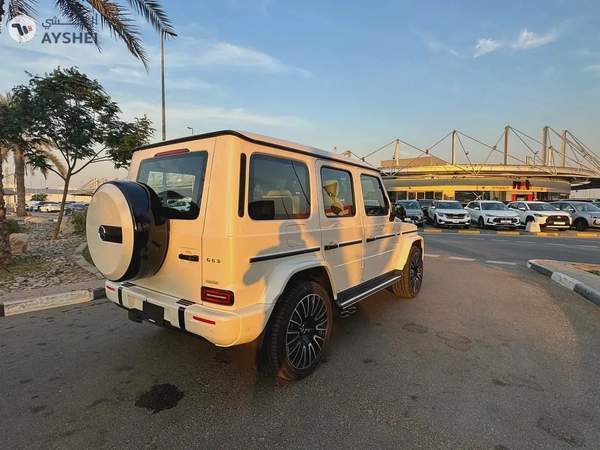 amg g63 fresh import japon