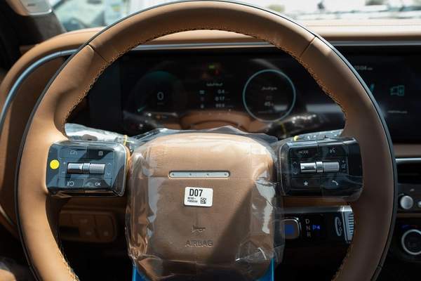 Hyundai Palisade Calligraphy