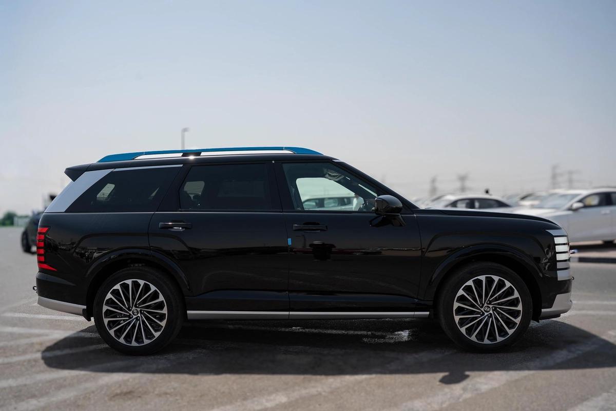 Hyundai Palisade Calligraphy-15-15
