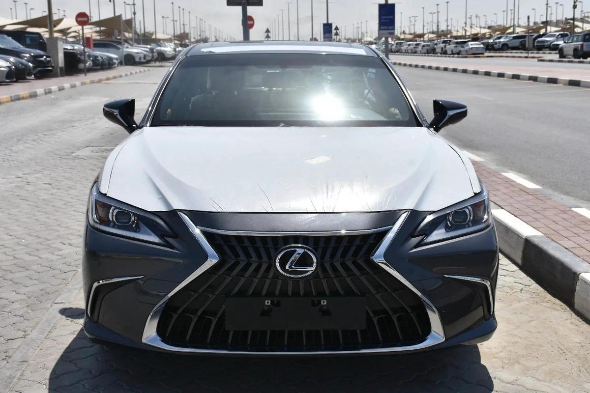 NEW ES250 GCC 2023 | GREY LIKE-4-4