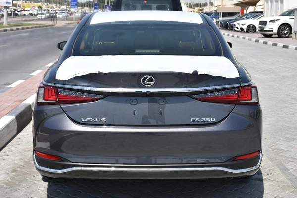 NEW ES250 GCC 2023 | GREY LIKE