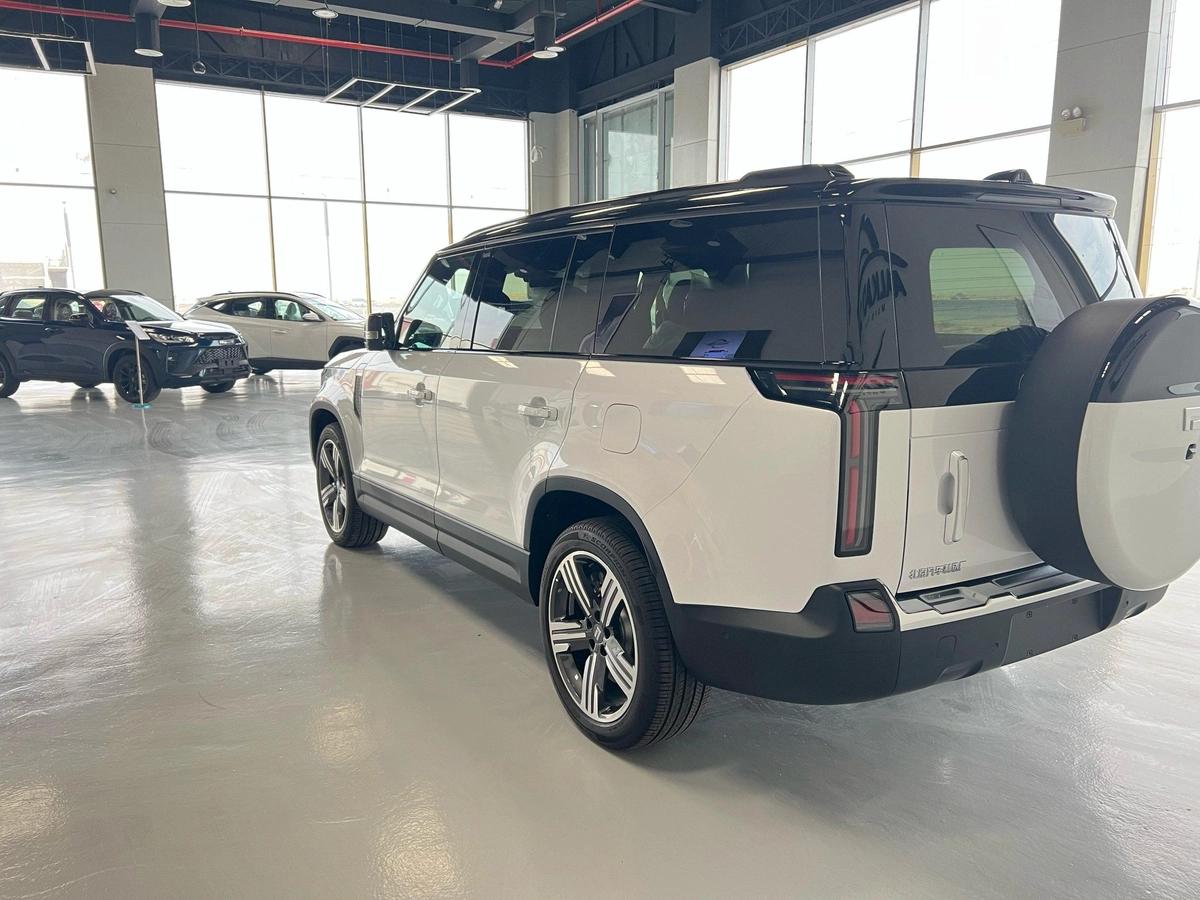 ROX 01 VIP Luxury 6-Seater 2024-16-16