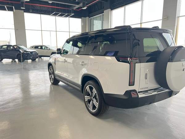ROX 01 VIP Luxury 6-Seater 2024