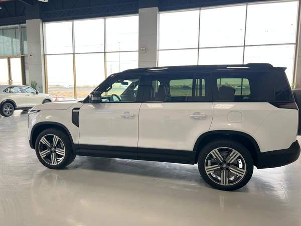 ROX 01 VIP Luxury 6-Seater 2024