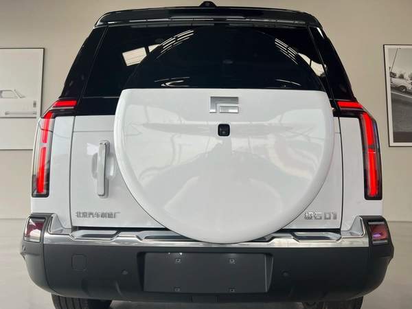 ROX 01 VIP Luxury 6-Seater 2024