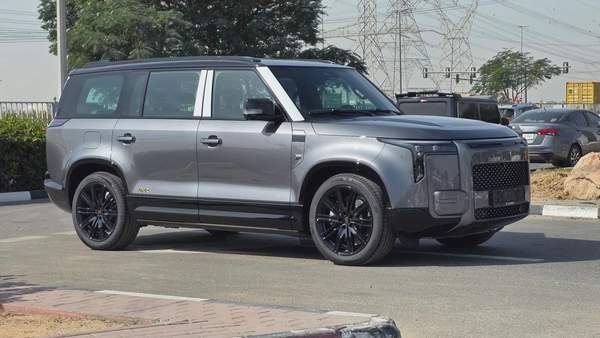 ROX ADAMAS VIP (Grey Purple)