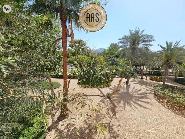 One Month Free Luxury living Concepts Family community