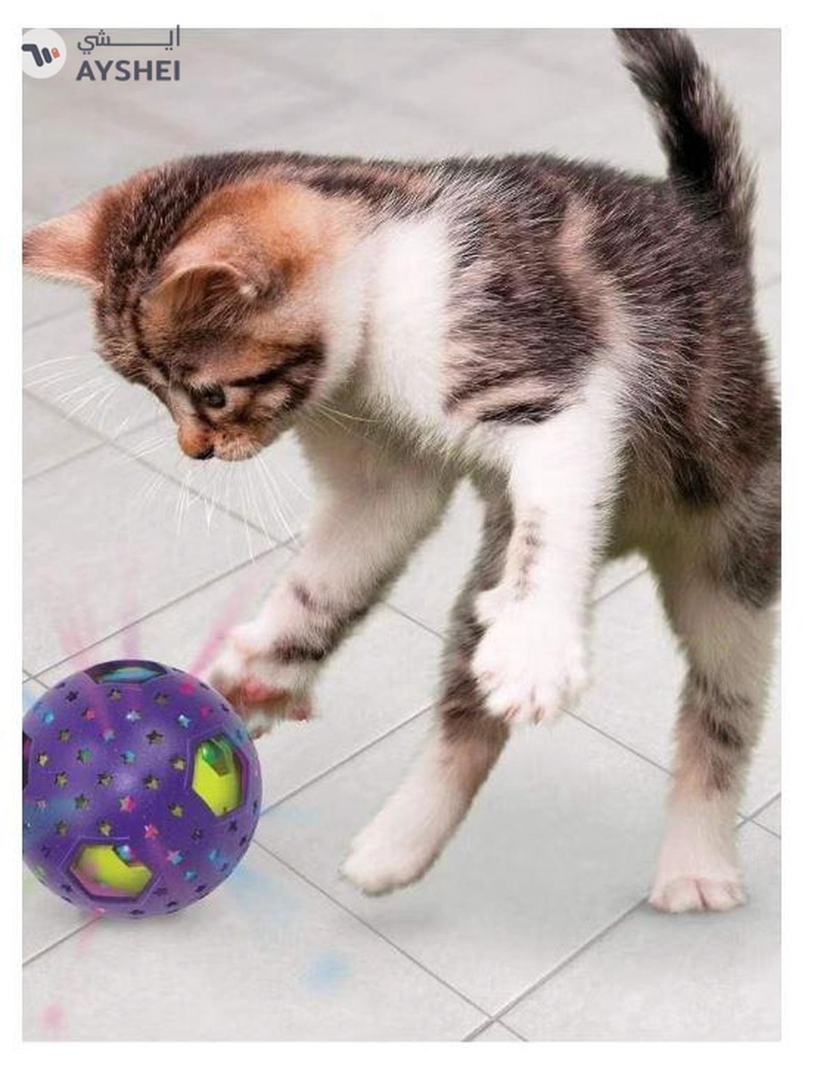 KONG Bat-A-Bout Flicker Disco-0-portrait