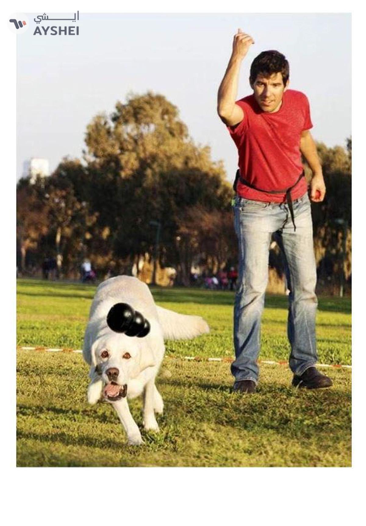 KONG | Extreme Dog Toy | Toughest Natural Rubber, Black,Fun to Chew,Chase and Fetch,For Medium Dogs-0-portrait