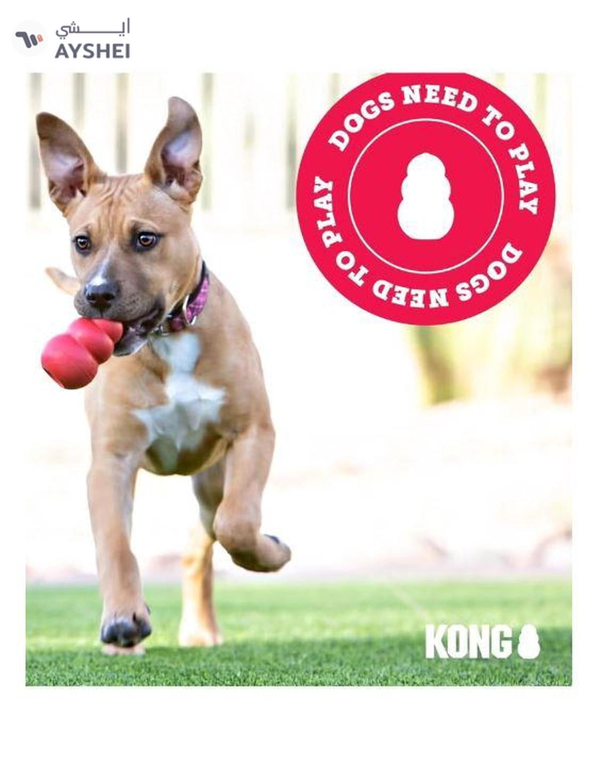 KONG | Extreme Dog Toy | Toughest Natural Rubber, Black,Fun to Chew,Chase and Fetch,For Medium Dogs-2-2