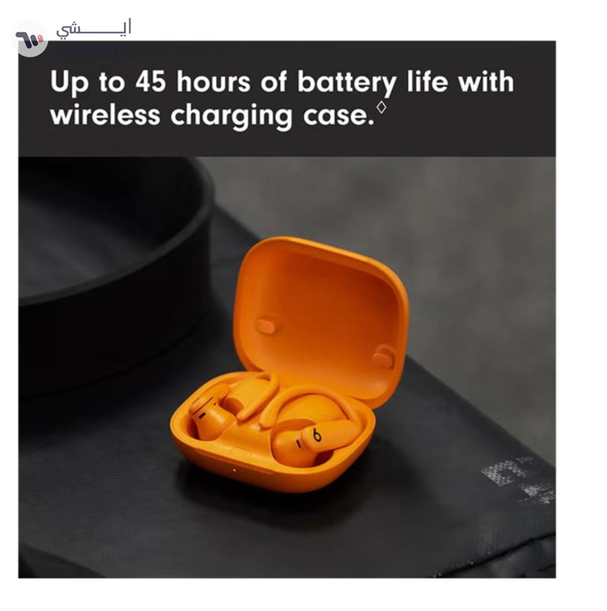 beats Powerbeats Pro 2 Wireless Bluetooth Earbuds-1-portrait