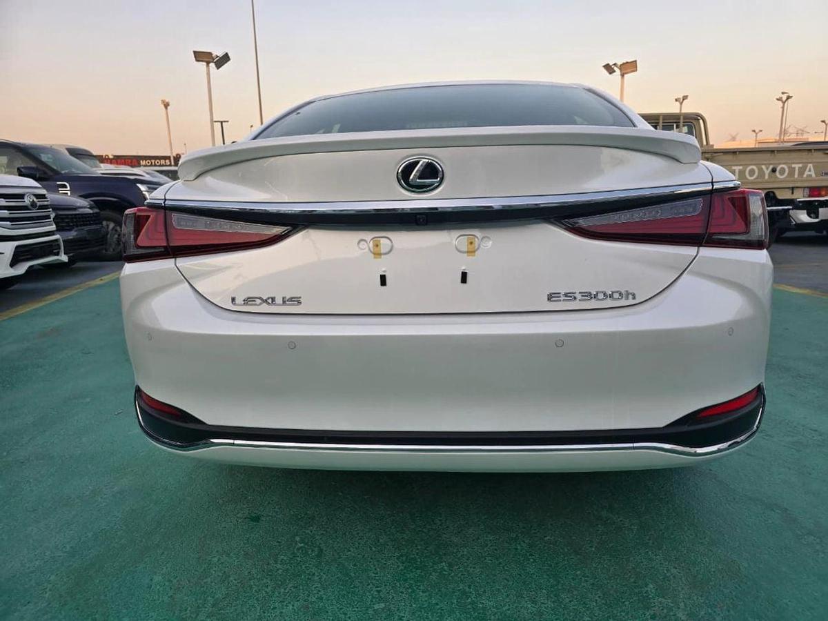 Lexus ES300h-6-6