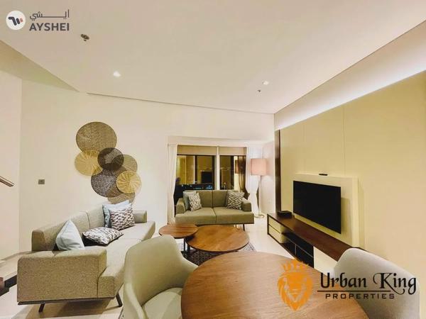 CHILLER FREE / DUPLEX 1BHK / FURNISHED