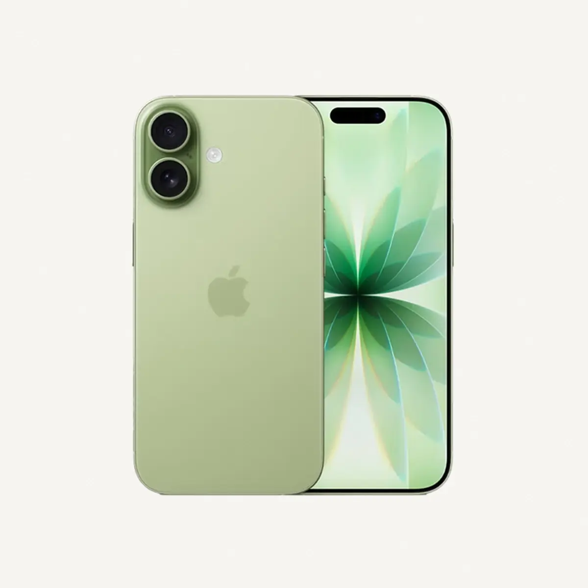 https://storage.ayshei.com/prod/public/drafts/29d6434b-b4f7-44e4-b8d8-00be40d67d27/web/1_1781350332376_1200.webp-0