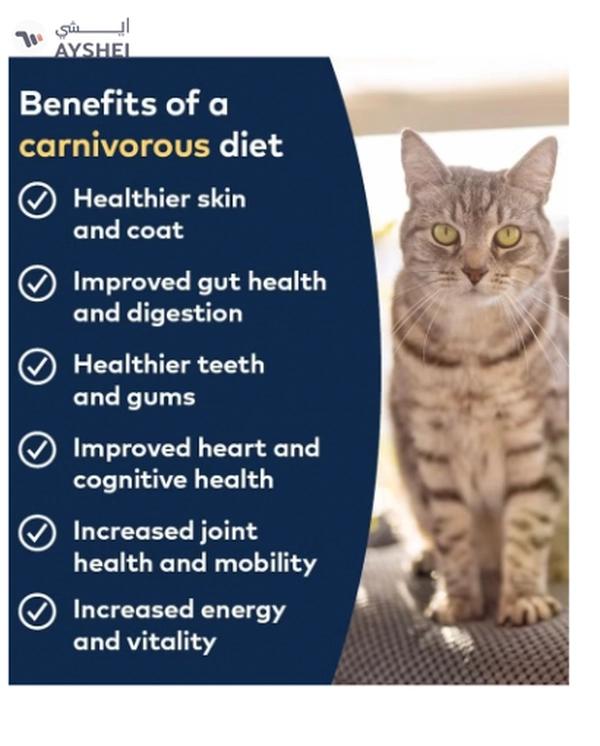 ZiwiPeak Cat Tin Venison 85G