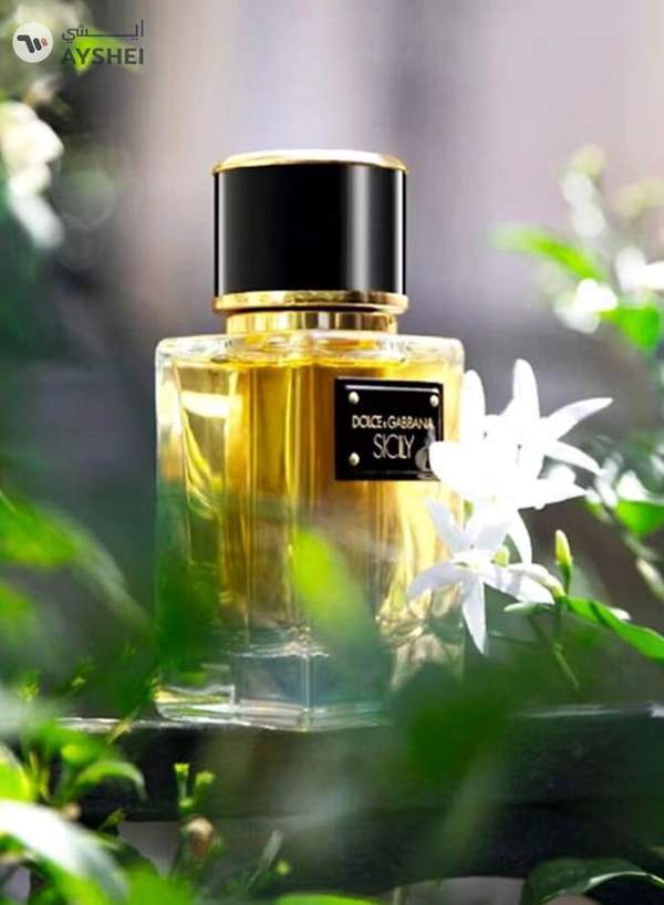 Dolce & Gabbana Sicily EDP 50ml