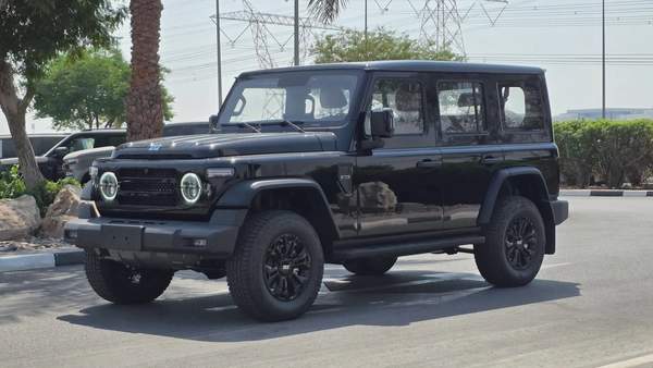BAW 212 (Black Brown)