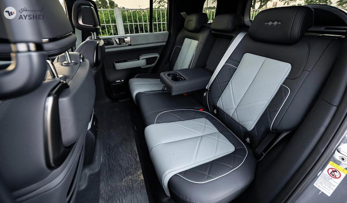 BYD Leopard 5-0-landscape